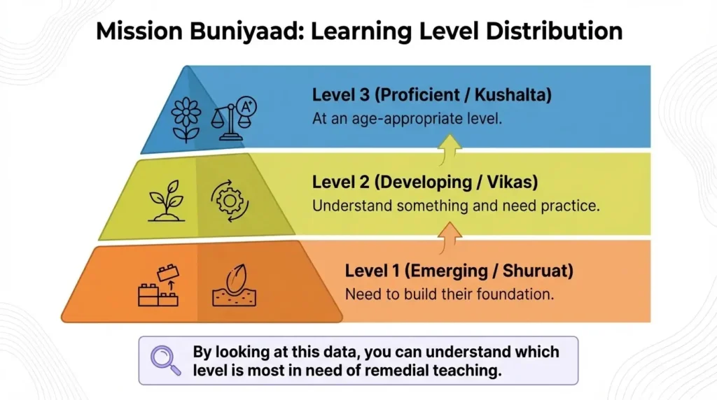 infographic of Learning Level Distribution